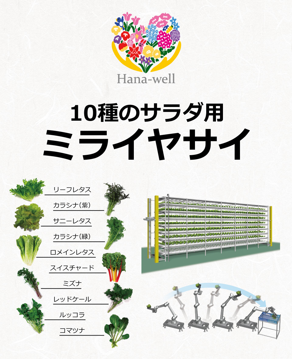 Hw　10種のサラダ用ミライヤサイ