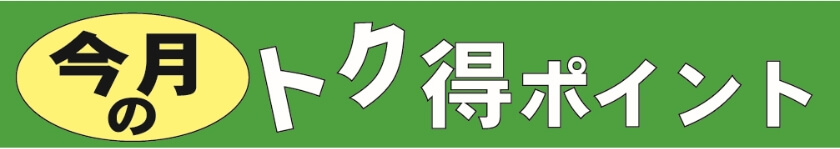 今月のトク得ポイント