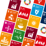 SDGs