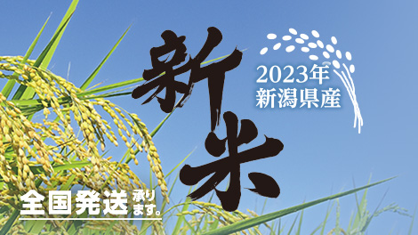 新米2023
