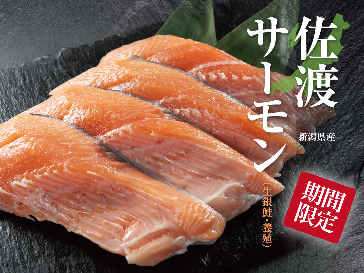 【期間限定】佐渡サーモン