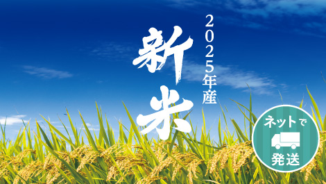 新米2025