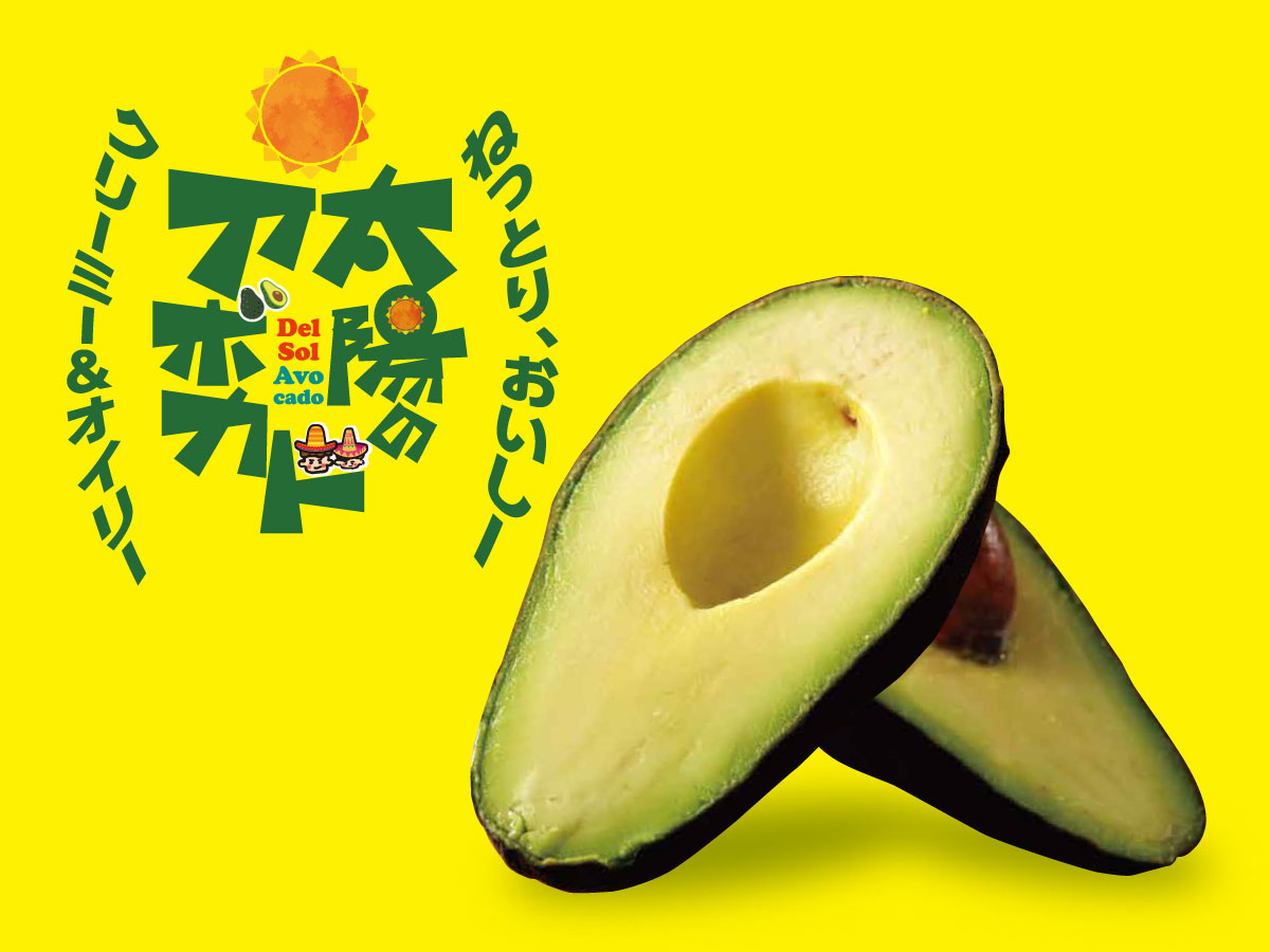 太陽のアボカド